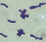 wps7972.tmp.jpg